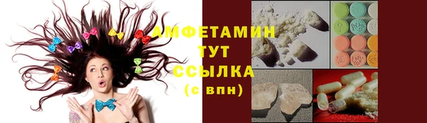 ПСИЛОЦИБИНОВЫЕ ГРИБЫ Чегем