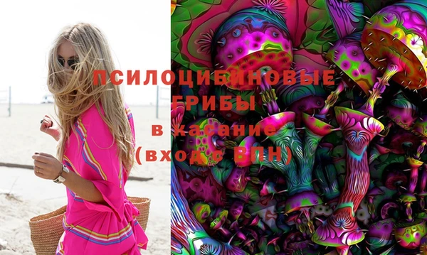 ГАЛЛЮЦИНОГЕННЫЕ ГРИБЫ Шарыпово