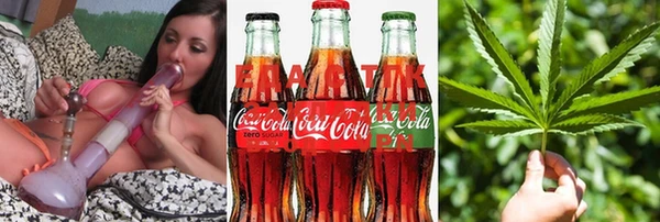 ПСИЛОЦИБИНОВЫЕ ГРИБЫ Чегем