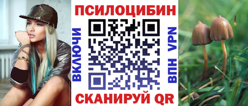 Галлюциногенные грибы GOLDEN TEACHER  Купить где  Соль-Илецк 